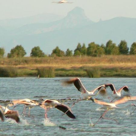 Agriturismo Bachile Bertula Villa Riola Sardo Esterno foto