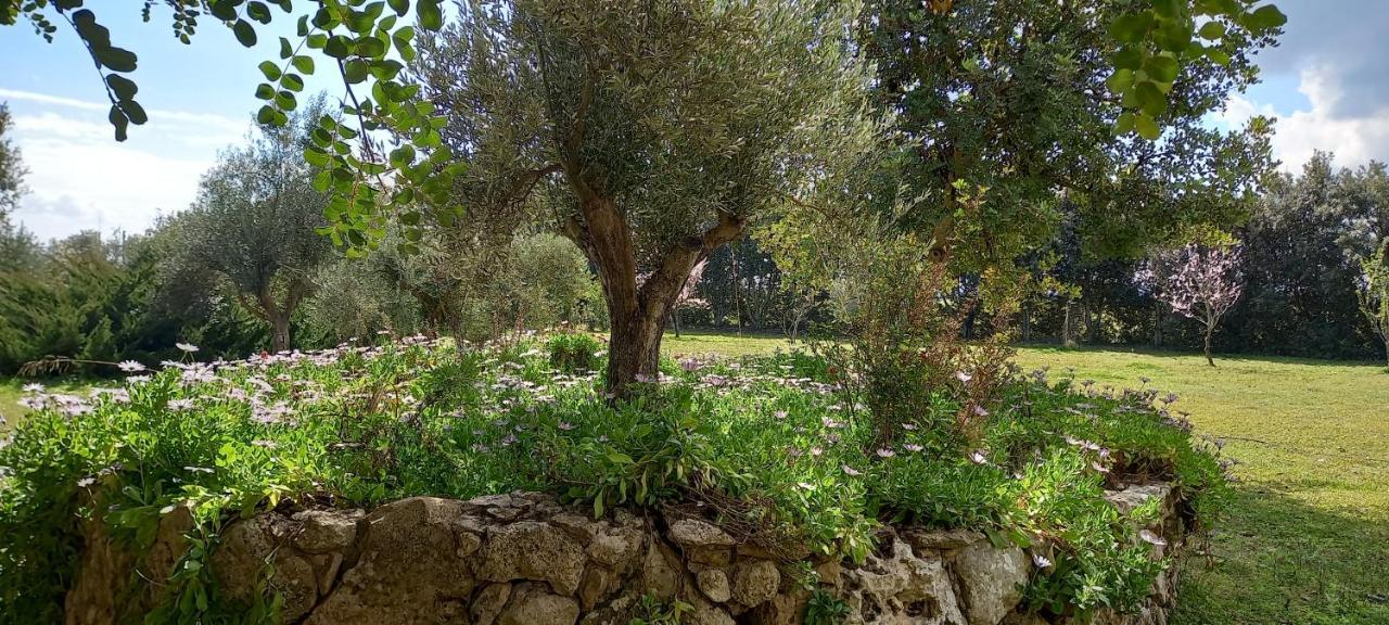 Agriturismo Bachile Bertula Villa Riola Sardo Esterno foto