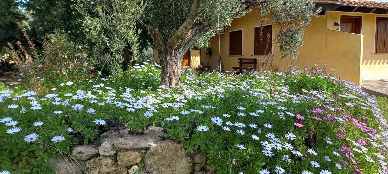 Agriturismo Bachile Bertula Villa Riola Sardo Esterno foto