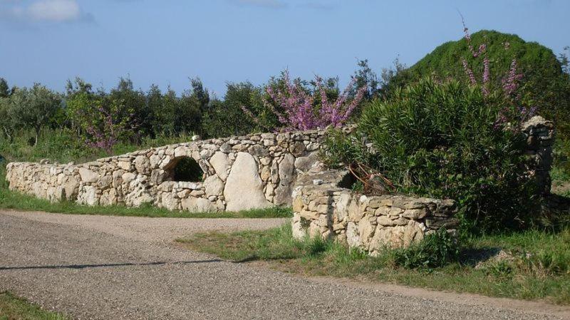 Agriturismo Bachile Bertula Villa Riola Sardo Esterno foto